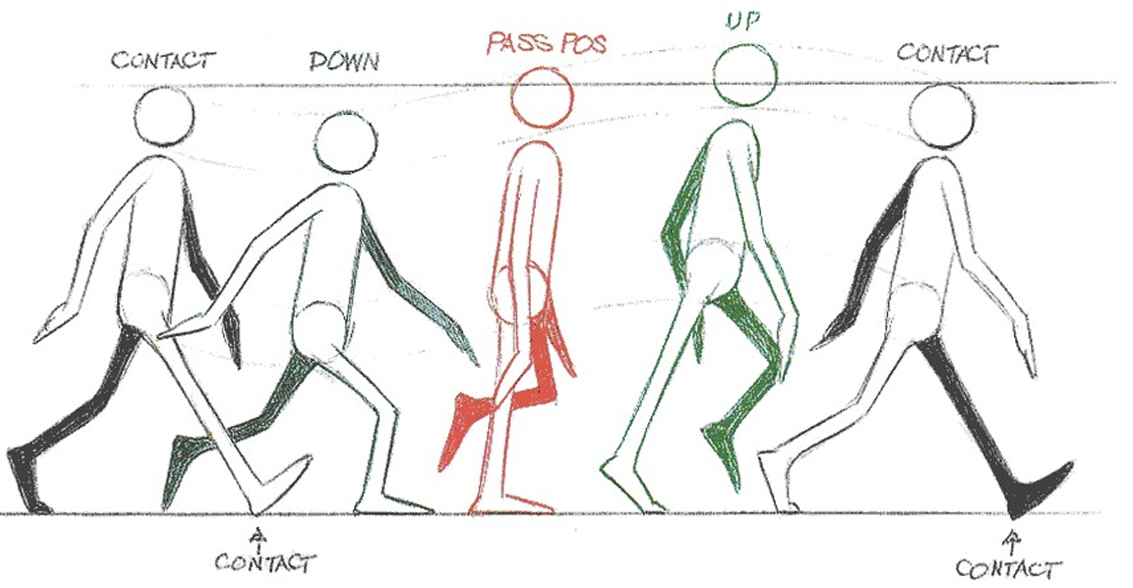 An example walk cycle ref from the 