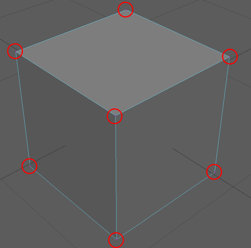 Vertex points on a model.